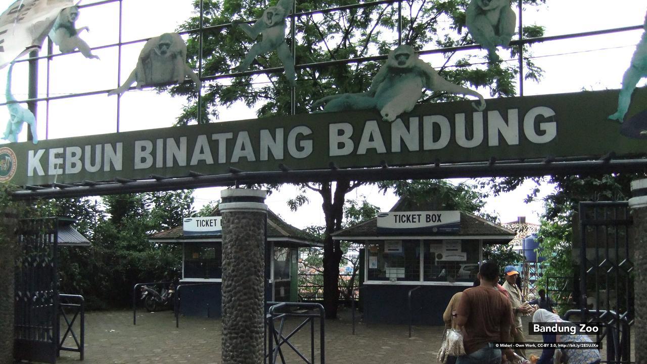 Zen Rooms Bukit Tunggul Bandung Exteriér fotografie